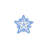 Bogg Bit - Blue Starfish